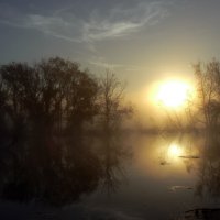 рассвет на озере :: Лариса Б