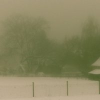 Туман. Сельский пейзаж :: Леонид Шаян