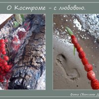 Фотопроект &quot;О Костроме с любовью&quot; :: Светлана Дерепащук