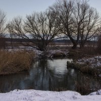 В ожидании весны... :: Анна Токорева