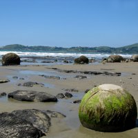 Круглые камни Новой Зеландии 1 :: КоАлла 