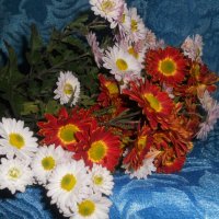 цветы :: Дарья Неживая