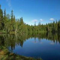 Одно из внутренних озёр Большого Соловецкого острова :: Катерина 