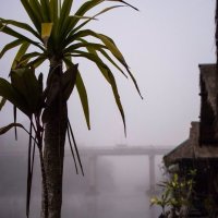 Туман на реке Квай. Тайланд :: Алёна Лепёшкина