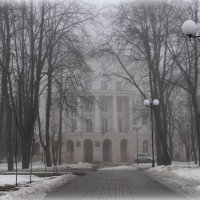 Туман :: Лариса Дорошенко