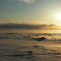 Белое море зимой :: Ирина Л