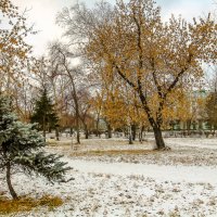 Приближение зимы. :: Дмитрий Климов