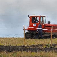 На коротком поводке... :: Владимир Хиль