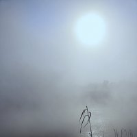 Студёная вода :: Олег Самотохин