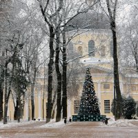 В декабре. :: Тамара Бучарская