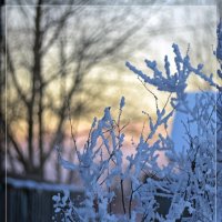 Розовый закат. :: Юрий Приходько