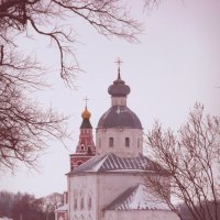 Суздаль зимой :: Светлана Воронкова