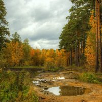 Дорогами осени :: Олег Сонин