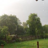 Во время дождя :: Анна Чигряй