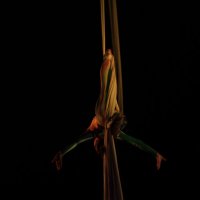 цирковое выступление :: Anastasia Shevkalenko