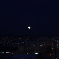 Луна :: Виктория Данилова