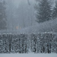 Вечер в парке. :: Харис Шахмаметьев