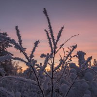 *** :: Павел Федоров