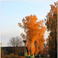 Осень,деревня. :: Василий Григорьевич 