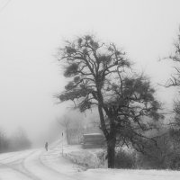 первый снегопад :: владимир 