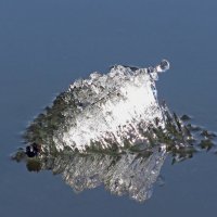 маленький айсберг на реке Сож в Гомеле :: Vladislav Rogalev