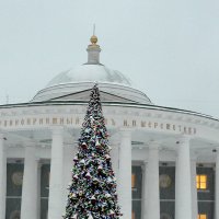 Москва Новогодняя. :: Елена Р 