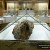 Челябинский метеорит в музее :: Vitali Belyaev