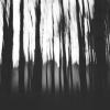 Лес для ведьмы-1 :: Наташа Барова