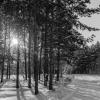 Зима :: Константин Карлин