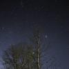 Дерево на фоне звезд :: Олег Волков