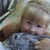 Кролики это не только ценный мех... :: Алексей Бойко