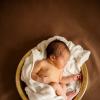 Фотосъемка новорожденных :: Елена Леухина