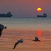 Восход в Феодосийском заливе. :: Эдуард Сычев