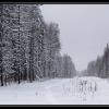 Зима :: Александр Тарута