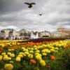 Тучи над Александровским садом :: Наталья Аракчеева