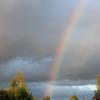 rainbow :: Никита Васильков