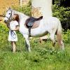Horse :: Ольга Ярахтина