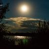В свете лунной тени ! :: Sergey Pechenkin