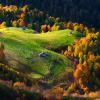 Тихо шла по склонам гор осень золотая :: Сергей Месилов