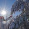 Фотосессия на Кумысной поляне г. Саратов :: Антон Голованов