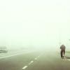 The fog :: Анна Мысочка