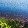 Голубое озеро :: Светлана 