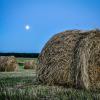 The moon as a lantern :: Alexander Lapshin