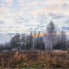 Граница между осенью и зимой :: Светлана Тремасова