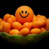 Orange Joy :: Александр Коган