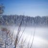 Зимний туман :: Elena Vershinina