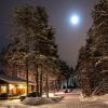 Зимняя сказка в Финляндии :: Наталья Патокина