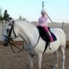 на белом коне, но не принц :: Юлия Ошуркова