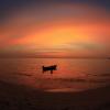 Закат на острове Ко-Чанг :: Арсений Медведев
