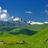 высокогорные луга Дагестана :: Илья Скупой